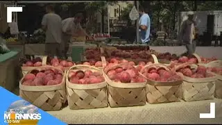 City Park Farmers Market opens for the season