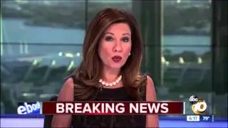KGTV Border Patrol Investigation