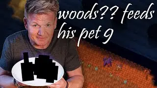 Woods?? Feeds His Pet #9 | RotMG