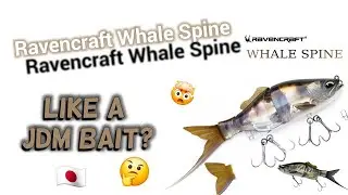Krasser Köder von Aliexpress - Ravencraft Whale Spine Glidebait