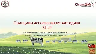 принципы использования методики BlUP