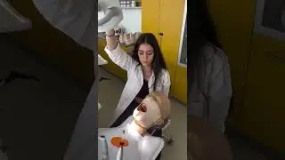 Masaryk University, Facolt&agrave; di #odontoiatria | Medicor Tutor