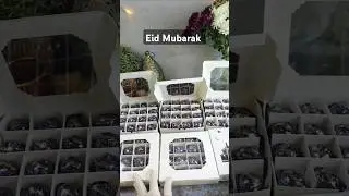 💫Eid Mubarak  #youtubeshorts ##shorts #diy #Eid2025 #Eid #Eidgifts #eidi #eidinspiration