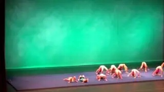 Allegro tumbling 2015