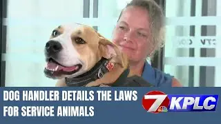 Dog handler details laws for service animals