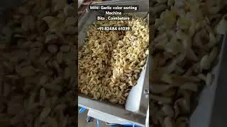 BIts Garlic color sorting machine | Upto 100kg per hour processing capacity #garlic
