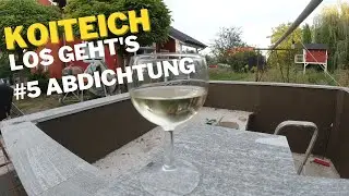 Koiteich #5 Dichtschlämme und Flüssigfolie