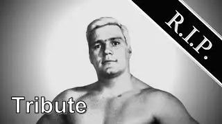 Pat Patterson ● A Simple Tribute