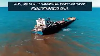 Front Groups, Offshore Wind, and Whales