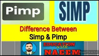Meaning of Simp || meaning of Pimp || difference between Simp and Pimp || slang words || Abuses