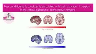 OHBM 2025 | Oral Session | Hannah Savage | Neural Correlates of Human Fear Conditioning and Source&hellip;