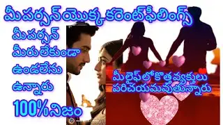 మీపర్సన్ యొక్క కరెంట్ ఫీలింగ్స్ మీలైఫ్ లో కొత్తవ్యక్తుల పరిచయం🥰అవుతున్నారు మీరులేకుండాఉండలేరూ#taro #