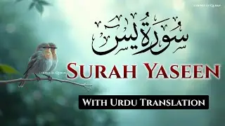 Surah Yasin with Urdu Translation Full | Beautiful Quran Recitation| Quran with Urdu & Hindi Tarjama