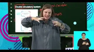 Life Sciences Grd 10 The Human Transport System The Blood Vessels S1