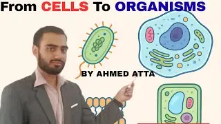 Class 9 Biology | Unit 1 Lecture 8| Cellular Organization in Organisms | From Cells To Systems.