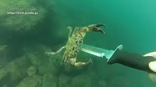 The underwater world of Sarfi-Kvariati
