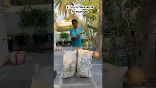 Vermicompost for my plants 🌱