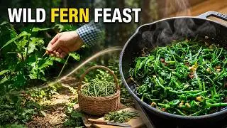 COOKING with Wild Vegetable Ferns? Foraging in The Forest! #wildedibles