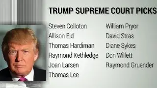 Who are Donald Trump's Supreme Court picks?
