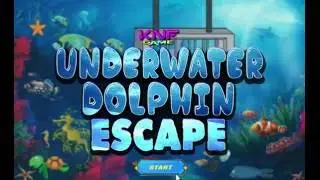 KNF Underwater Dolphin Escape