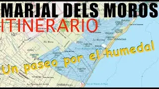 Marjal dels Moros 2025: Ruta COMPLETA por el Humedal de Sagunto + Observación de AVES