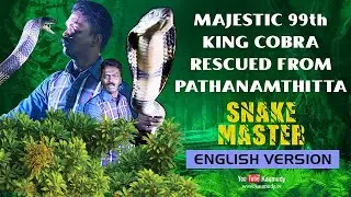 Wow! Majestic 99th King Cobra rescued from Pathanamthitta | Snakemaster - English Version | EP 04