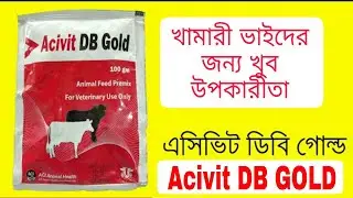 গবাদিপশুর রোগ প্রতিরোধ ক্ষমতা বৃদ্ধি করার জন্য। gavir dudh baranor jonno// Aci DCP Gold