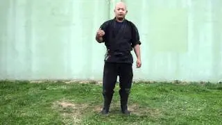004 Natural walking flowing though postures