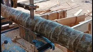 Sawing Coconut Trees for the Australian Construction Industry Creates Jaw Dropping Lumber