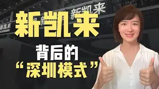 四年突围！新凯来用“深圳模式”打通半导体全链条！