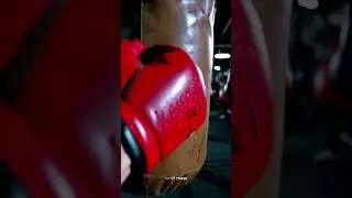 🎬 Khamzat Maaev vs Mirbek Zhenishbekov | Full Fight | BRAVE CF 103 Uzbekistan