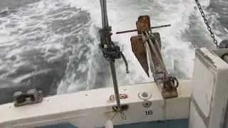 MVI 5864