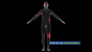 What is Redox Signaling Molecules