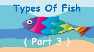 Types of Fish Part 3