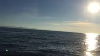 Listening to Orcas off Vancouver Island with a Hydrophone