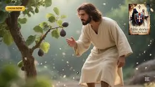 Bible stories Jesus Christ Part 56: Authority and a Fig Tree #jesus #god #love #bible #peace #light