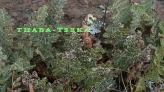 Thaba tseka