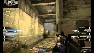CSGO:  Bird Tho...