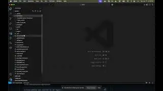 Scaffold Stellar: Get started building