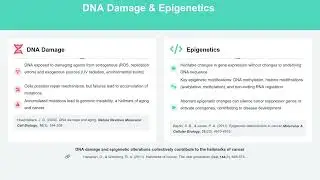Cellular Dysfunction The Root of Human Disease  Mechanisms and Manifestations Across the Lifespan