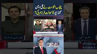 Did  Punjab Government Provide Facilitation To Ali Amin Gandapur? | Red Line