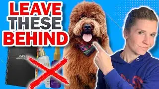 Dog Grooming Trends for 2025: What&rsquo;s In & What&rsquo;s Out!