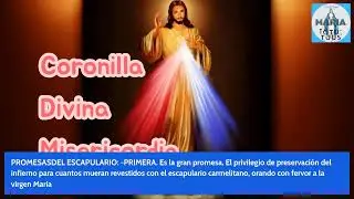 Santo Rosario misterios Gososos