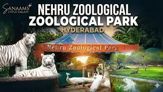 Sanaam's little Galaxy - family adventures & fun world Nehru Zoological park ...