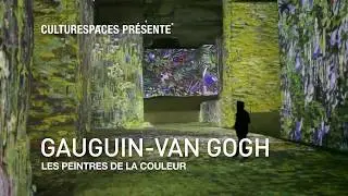 Carrières de Lumières - Spectacle “Gauguin-Van Gogh. Les peintres de la couleur” - mars 2012