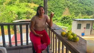 Cleaning my plants and harvesting some oranges