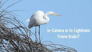 In-Camera or In-Lightroom Frame Grab From Video?