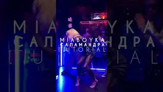 САЛАМАНДРА TUTORIAL