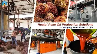 2TPH Palm Oil Milling Plant Setup in Congo  Efficient Small Scale Palm Oil Production Line