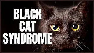 Black Cat Syndrome: Fact or Myth?